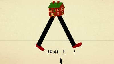 ossis-back-home.jpg